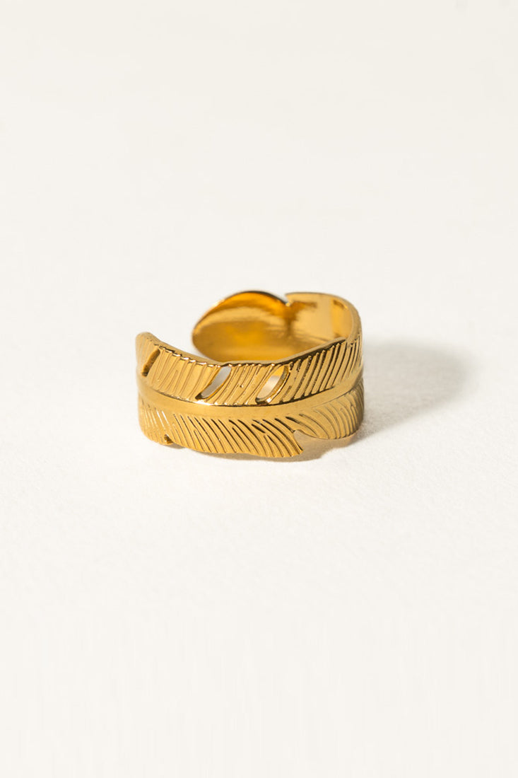 Anillo PLUMM