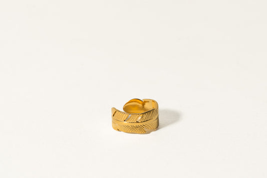 Anillo PLUMM