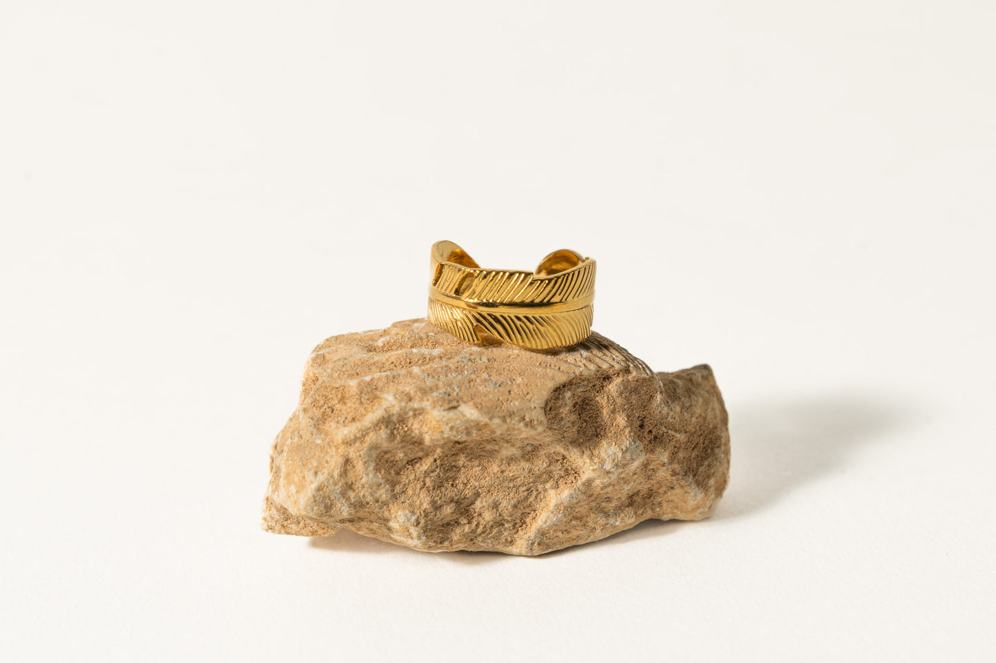 Anillo PLUMM