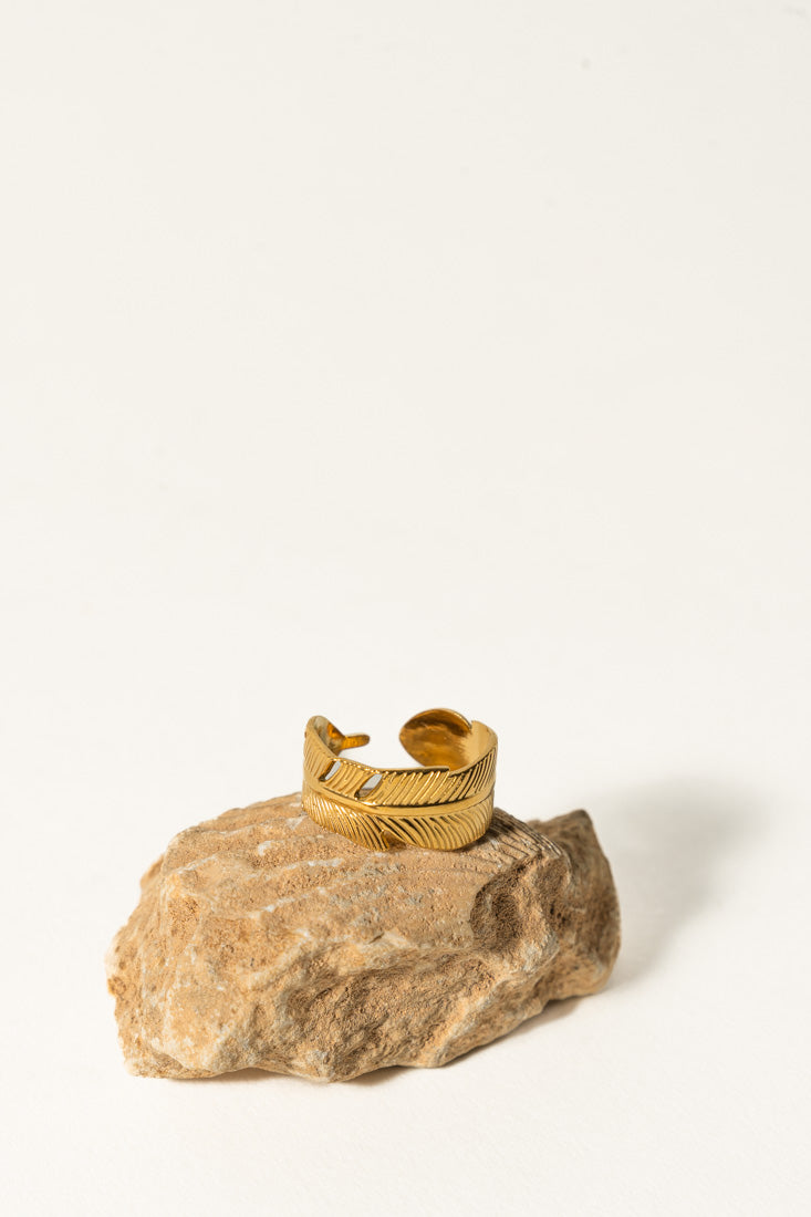 Anillo PLUMM