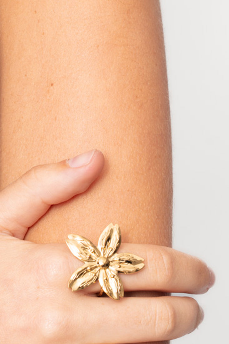 Anillo MARGOT